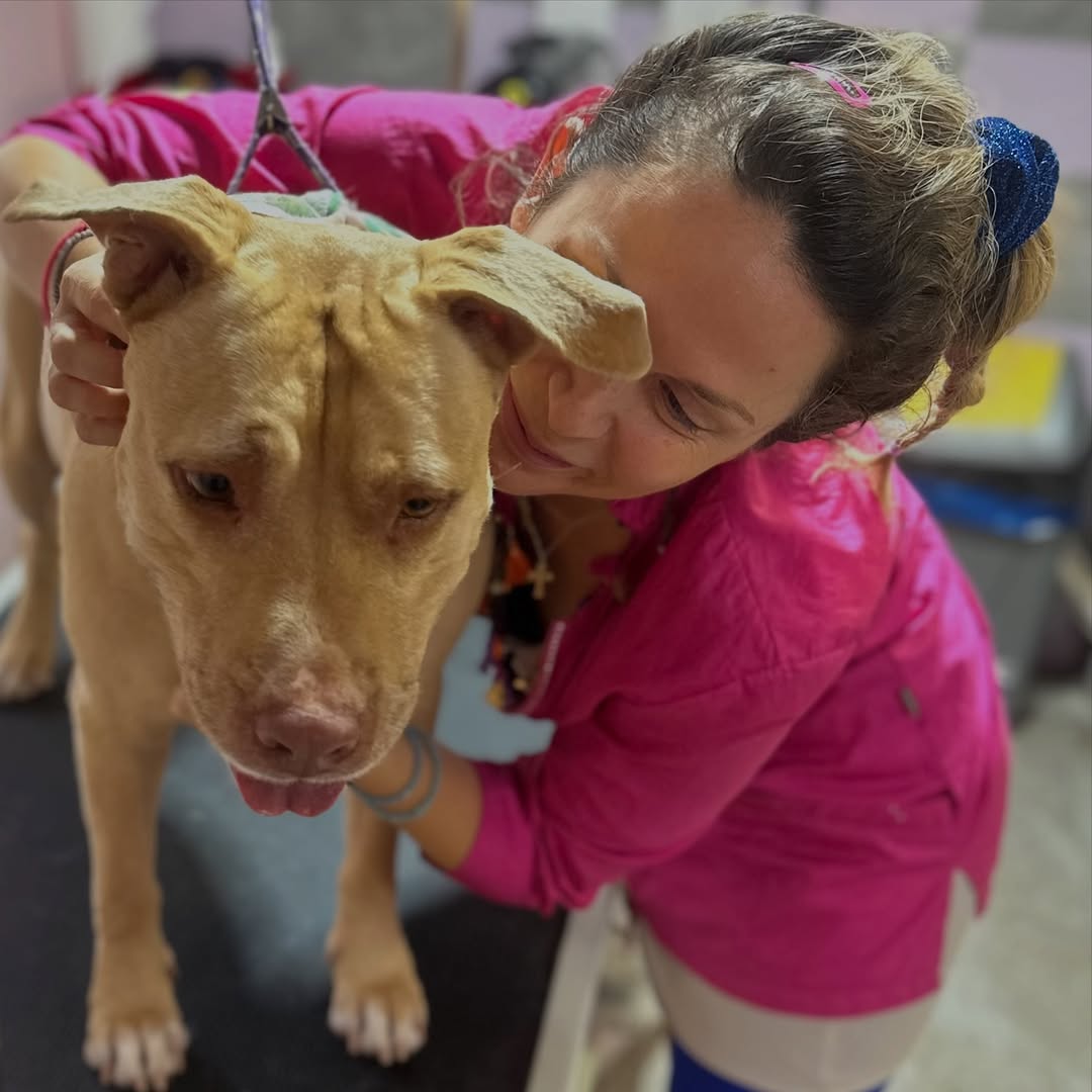 Pitbull love at studio